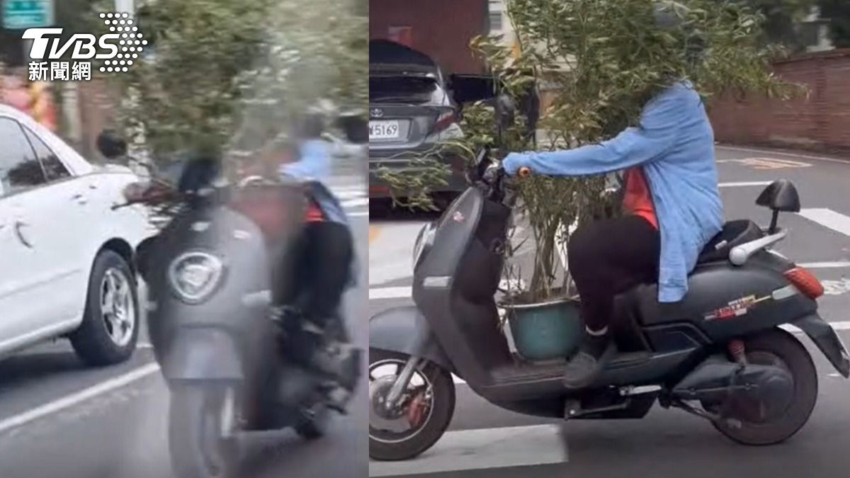 阿姨騎車秀神級偽裝術？變「一棵樹」路上跑民眾驚：漢光演習提前開始？