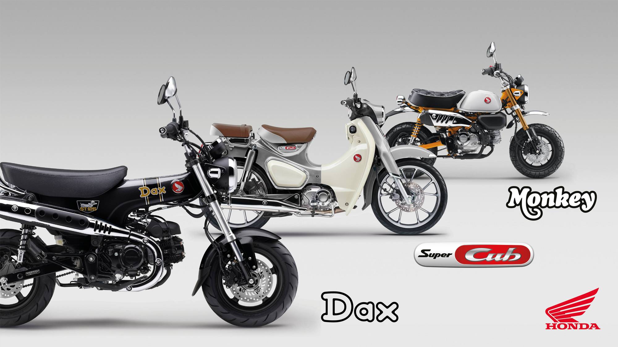 Honda Monkey等三款經典125小車系，全新配色迎接2026年式更新| 地球黃金線