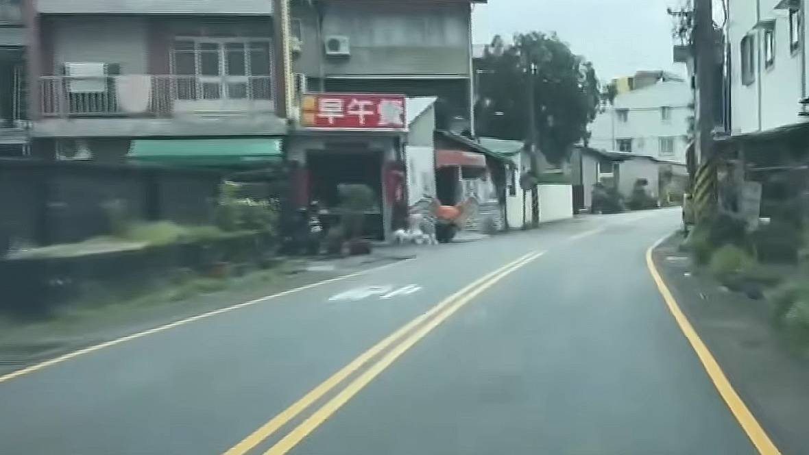 42秒連吃13張罰單！台中10米以下窄路「不再畫雙黃線」年底先改500路口